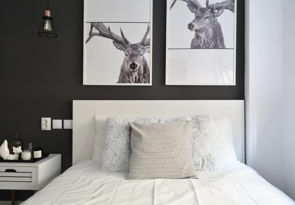 Apartmán 2 Bdr / Cozy Ap Near Old Town Bukurešť Exteriér fotografie